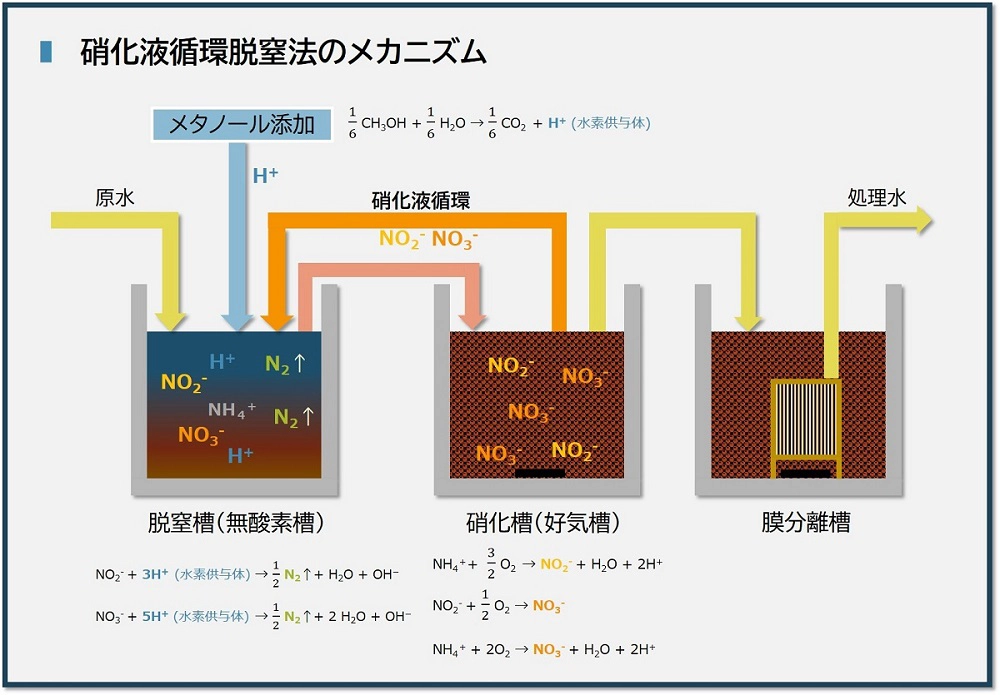 硝化液循環脱窒法のメカニズム