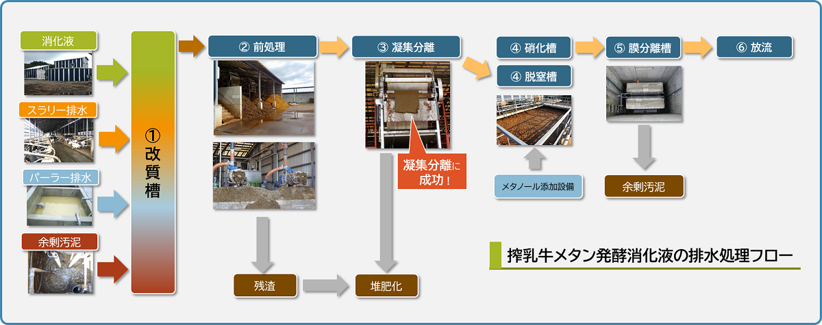 搾乳牛メタン発酵消化液の排水処理フロー