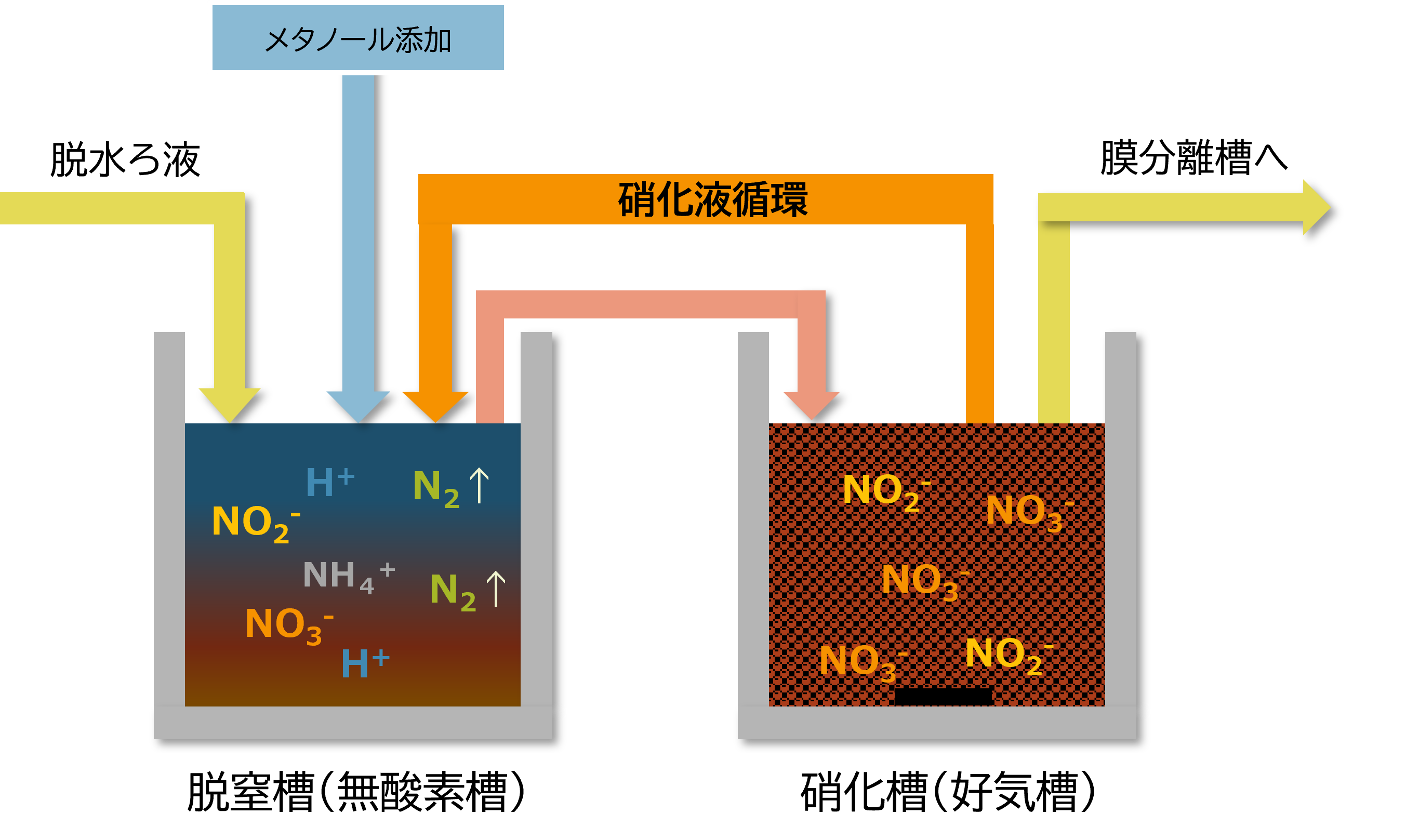 脱窒槽・硝化槽
