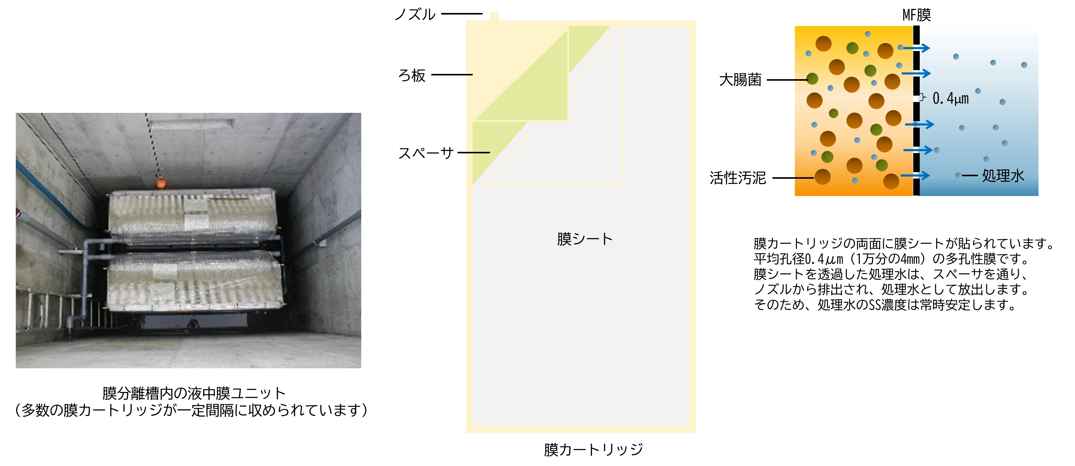 膜分離槽